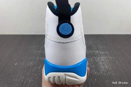 “Powder 654 Air Blue 1730 WellDesigned Jordan FQ8992- 9 0622
